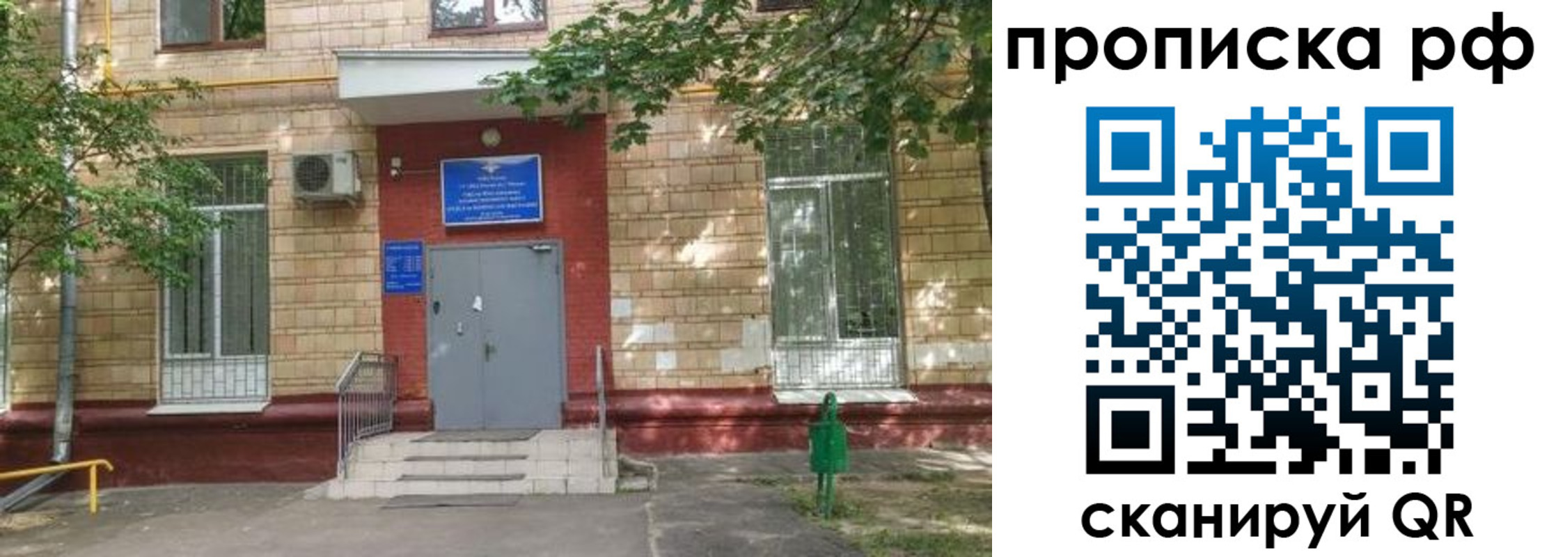 прописка поиск в Брянске